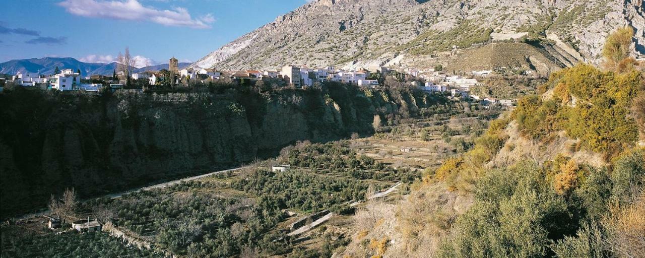 Casa Mosaico Granada En El V De Lecrin Villa Nigüelas Buitenkant foto